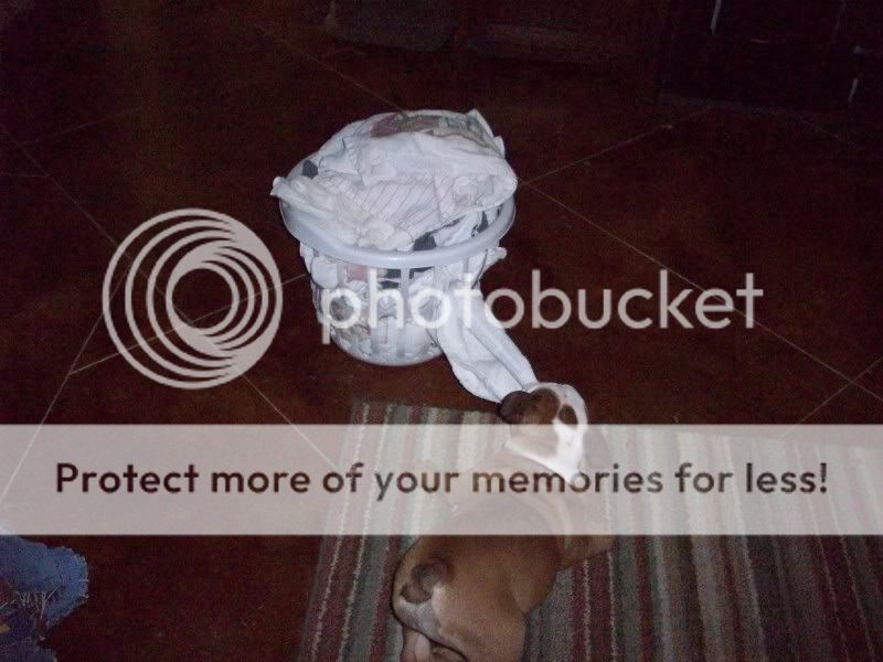 [linked image]