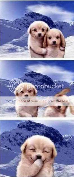 DOG.jpg?t=1306839624