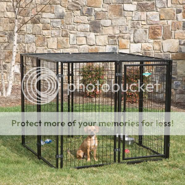 Golden Retrievers Golden Retriever Dog Forums Indoor/Outdoor Kennels